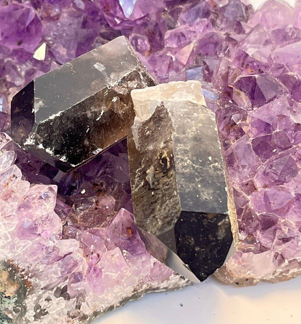 Brazilian Smoky Quartz Crystal 2 inch - Infinite Treasures, LLC